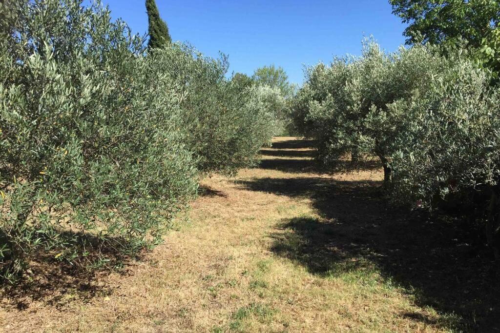 Villa Bastide Derroc Cotignac Esterno foto